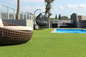 monofilament synthétique de C de gazon de paysage artificiel d'herbe de jardin de taille de 20mm fournisseur