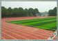 Aucune herbe artificielle du football de textile tissé des métaux lourds pp 13000 Dtex pour Futsal fournisseur