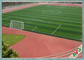 Gazon artificiel du football naturel d'aspect/tapis synthétique d'herbe pour le football fournisseur
