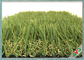Arbre naturel de longue durée d'aspect d'entretien d'herbe artificielle libre d'animal familier fournisseur