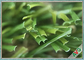 Tapis artificiel d'herbe de gazon d'animal familier facile de soin de 6800 Dtex pour le banquet/animal familier de balcon fournisseur