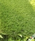 herbe artificielle extérieure de la rugosité 13400Dtex élevée, garantie de 5 - 6 ans fournisseur