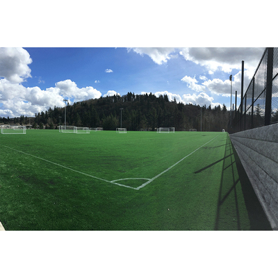 Tapis d'herbe extérieur 8500 Dtex 2m/4m de largeur PP+Net Backing Football Gazon artificiel